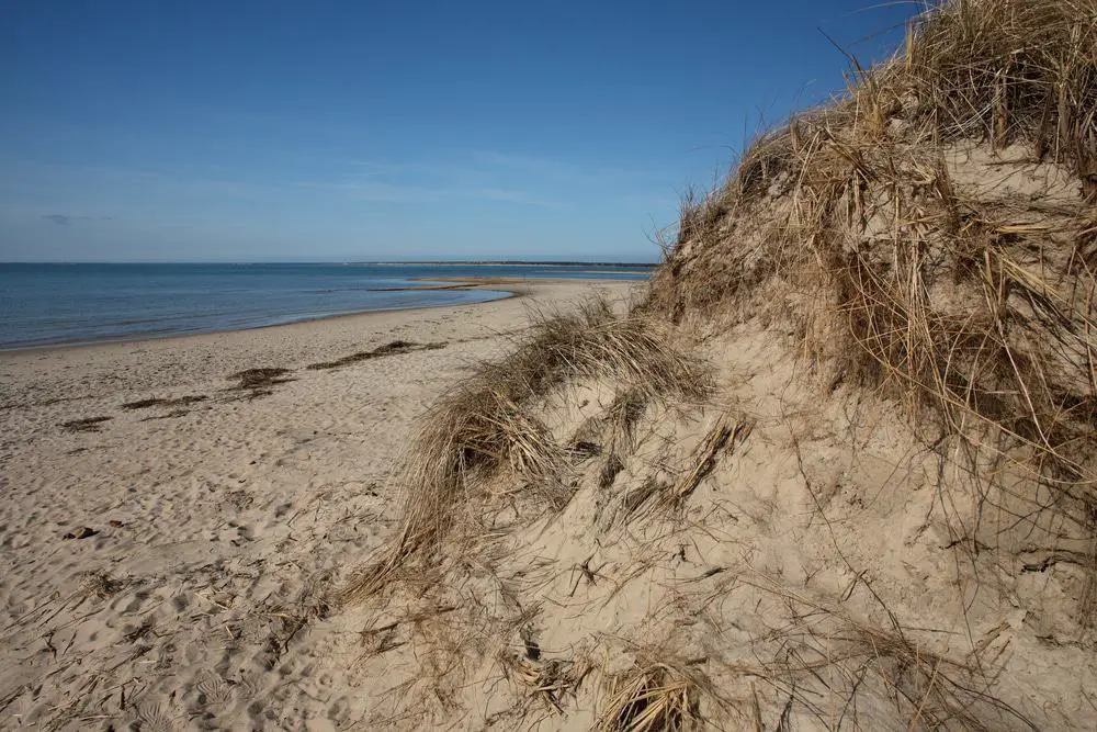 15 mejores playas en Cape Cod