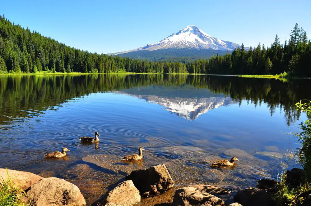 15 mejores lagos en Oregon