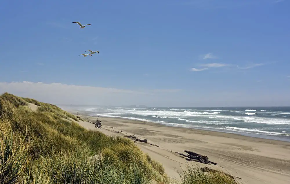 15 mejores playas en Oregon
