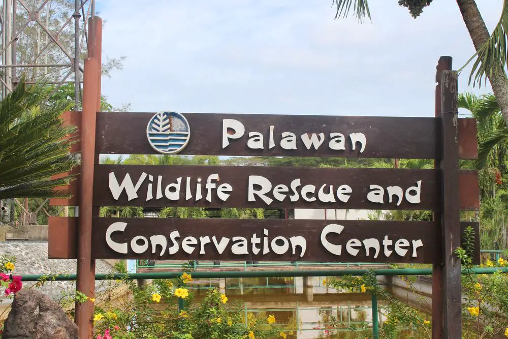 25 mejores cosas que hacer en la isla de Palawan (Filipinas)