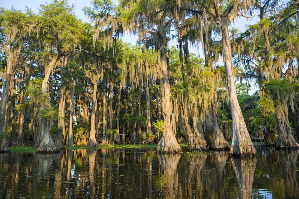 15 mejores lagos en Louisiana