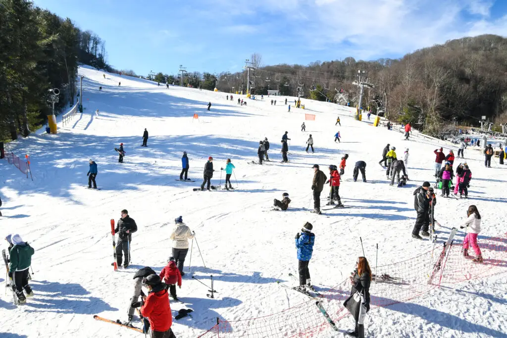 Esta imagen tiene un atributo alt vacío; su nombre de archivo es Depositphotos_399225324_xl-2015-1024x683.jpg
