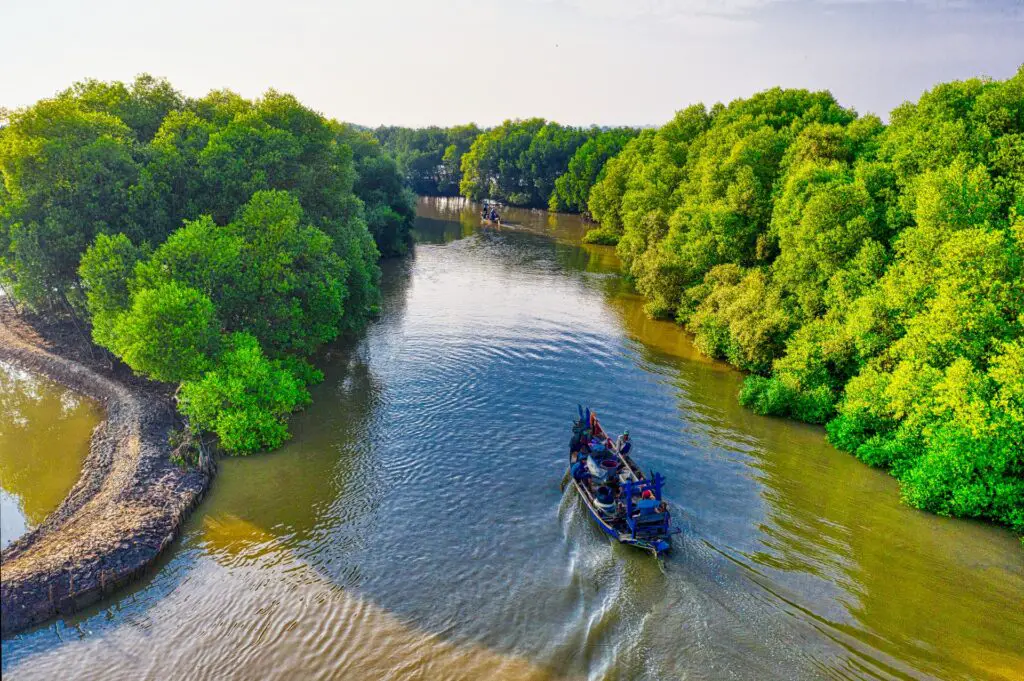 Navegar en kayak en Miami le permite explorar innumerables millas de bosques de manglares, un ecosistema complejo y único en Florida.