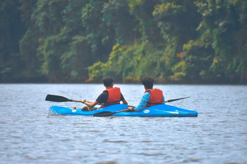 una familia disfruta del kayak en Miami y contempla los bosques de cipreses en la distancia.
