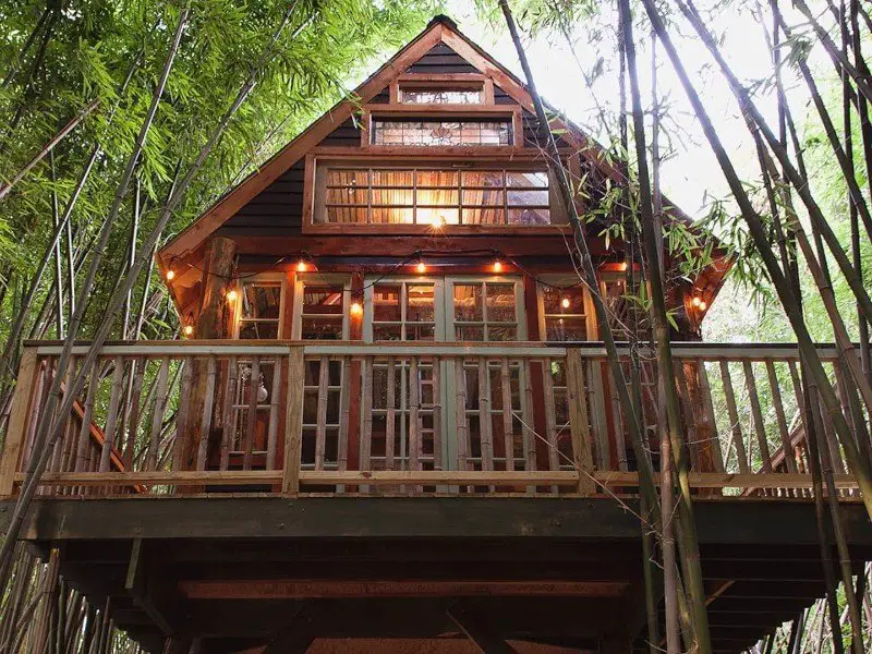 El exterior de Atlanta Alpaca Treehouse ubicado en un bosque de bambú en una granja en funcionamiento en Atlanta
