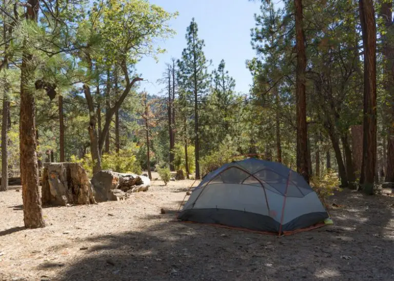 Camping cerca de Big Bear 12 campings mejor calificados dentro de una