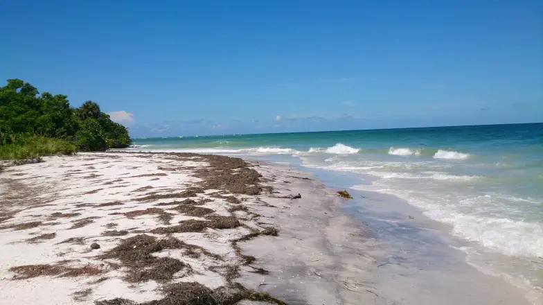 Encuentre paisajes vírgenes en Egmont Key, la aislada isla barrera de  Florida | EL BLOG DEL VIAJERO