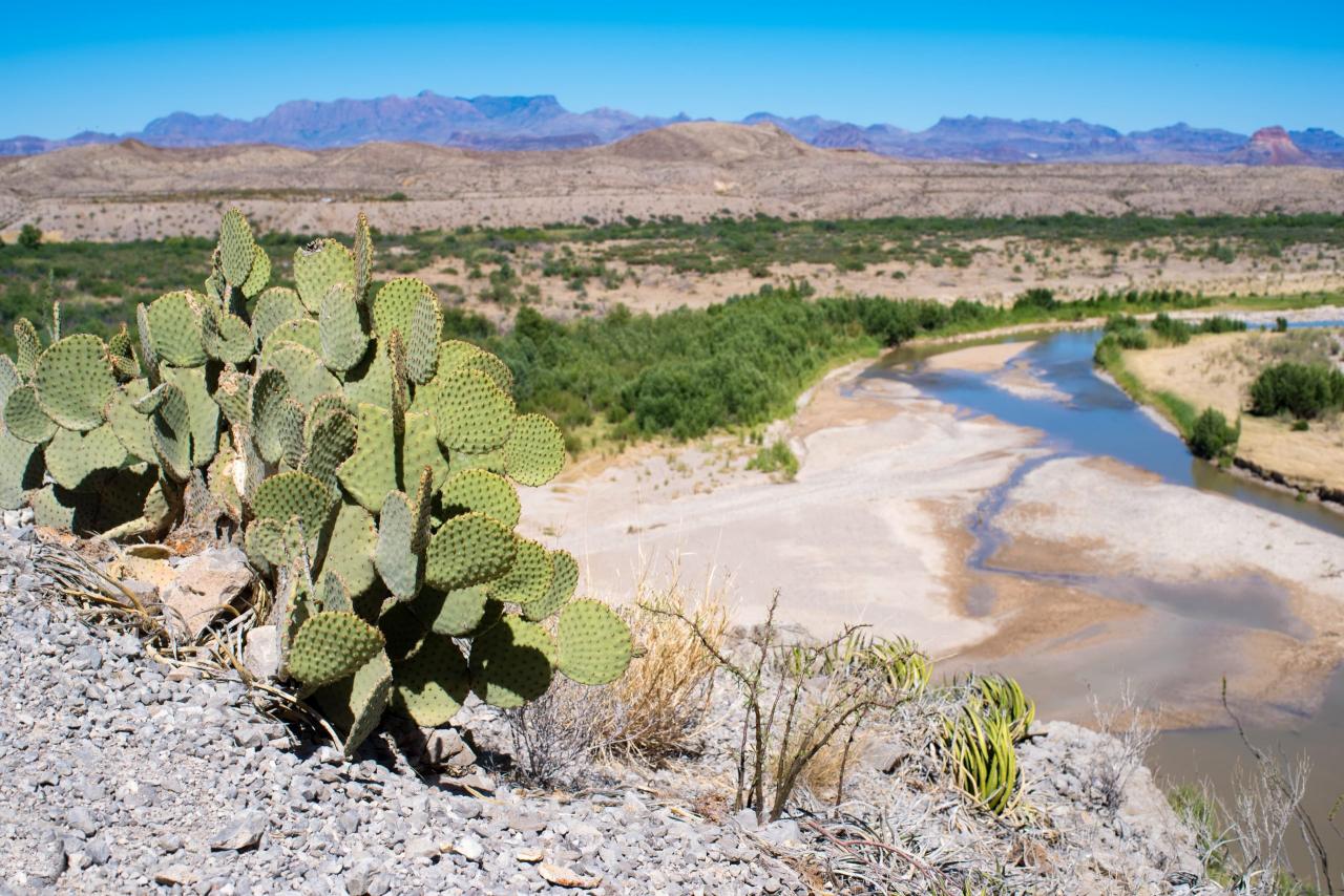 Desierto, cactus y el Río Grande vistos desde el Cañón de Santa Elena a la luz de la tarde.
