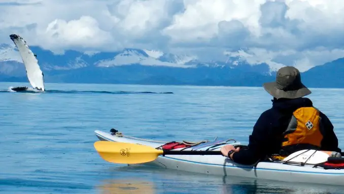 KAYAK CON BALLENAS EN ALASKA O COLUMBIA BRITÁNICA