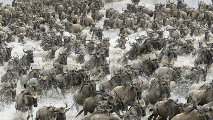 PARQUE NACIONAL DE SERENGETI, TANZANIA