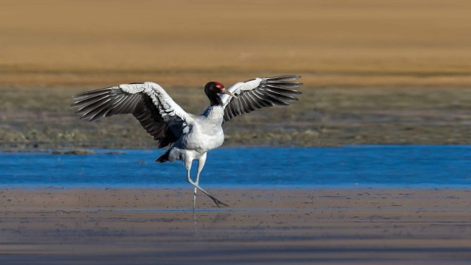 ATRACCIONES DE VIAJE A BHUTÁN