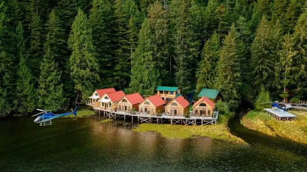 NIMMO BAY, BOSQUE TROPICAL DEL GRAN OSO, COLUMBIA BRITÁNICA